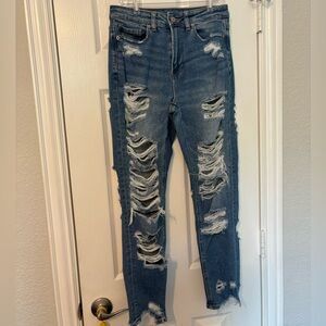 American Eagle Outfitters super distressed mom jeans (size 2)